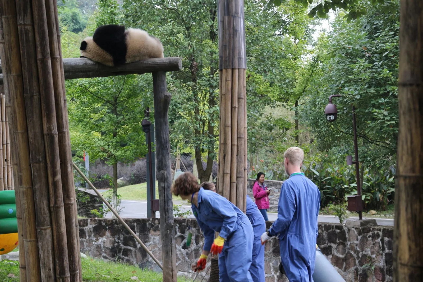 China Adventure Club travel experience
