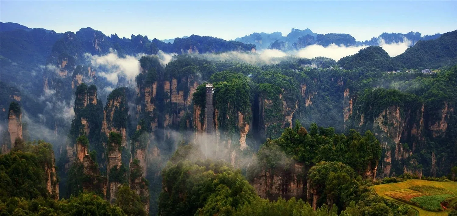 Zhangjiajie sandstone peaks rising through mist