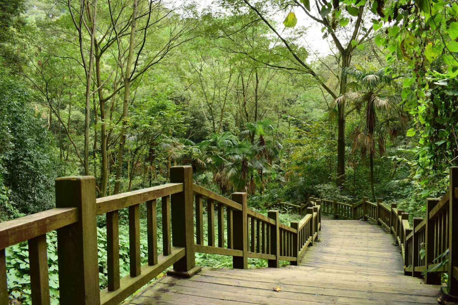 China Adventure Club travel experience