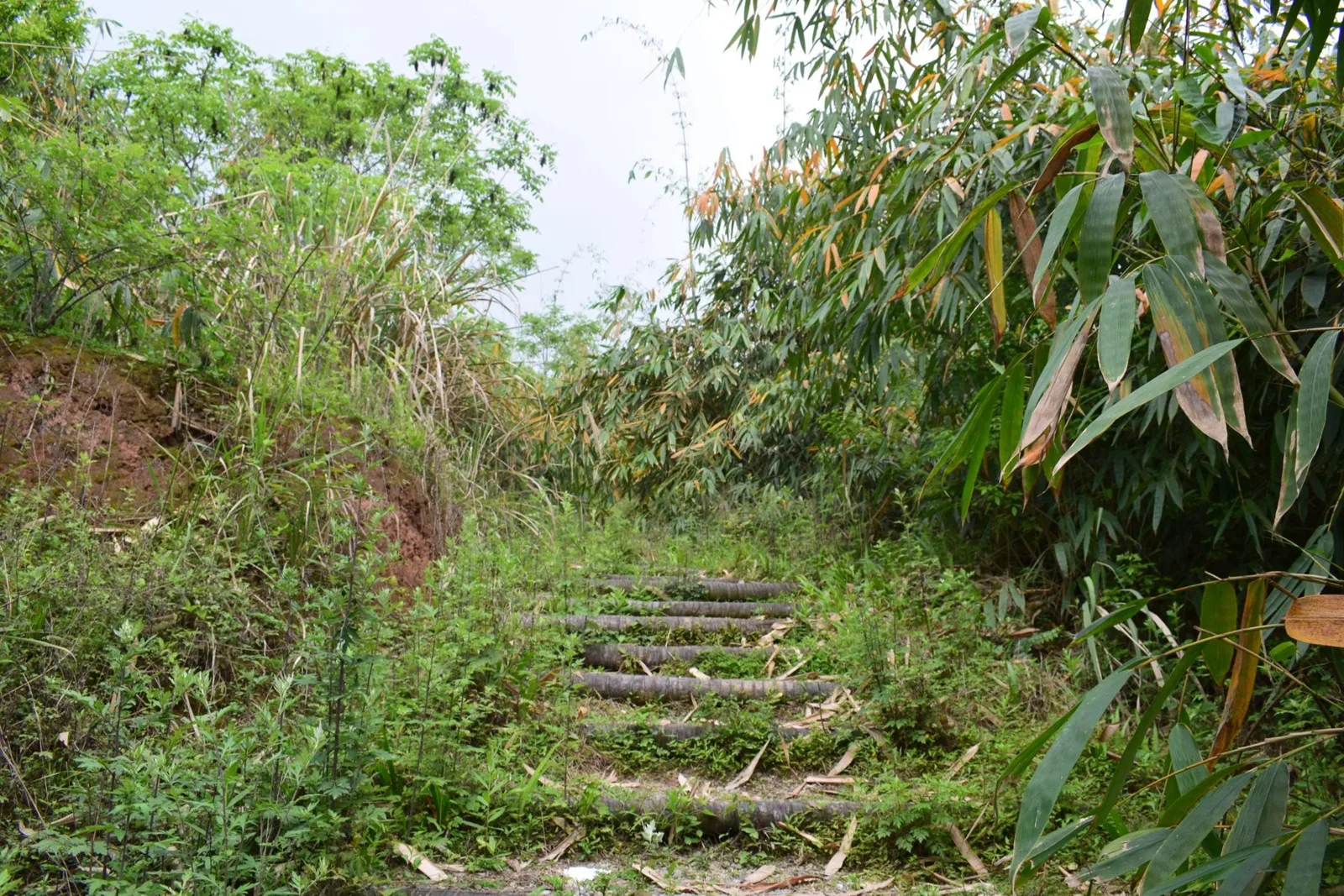 China Adventure Club travel experience