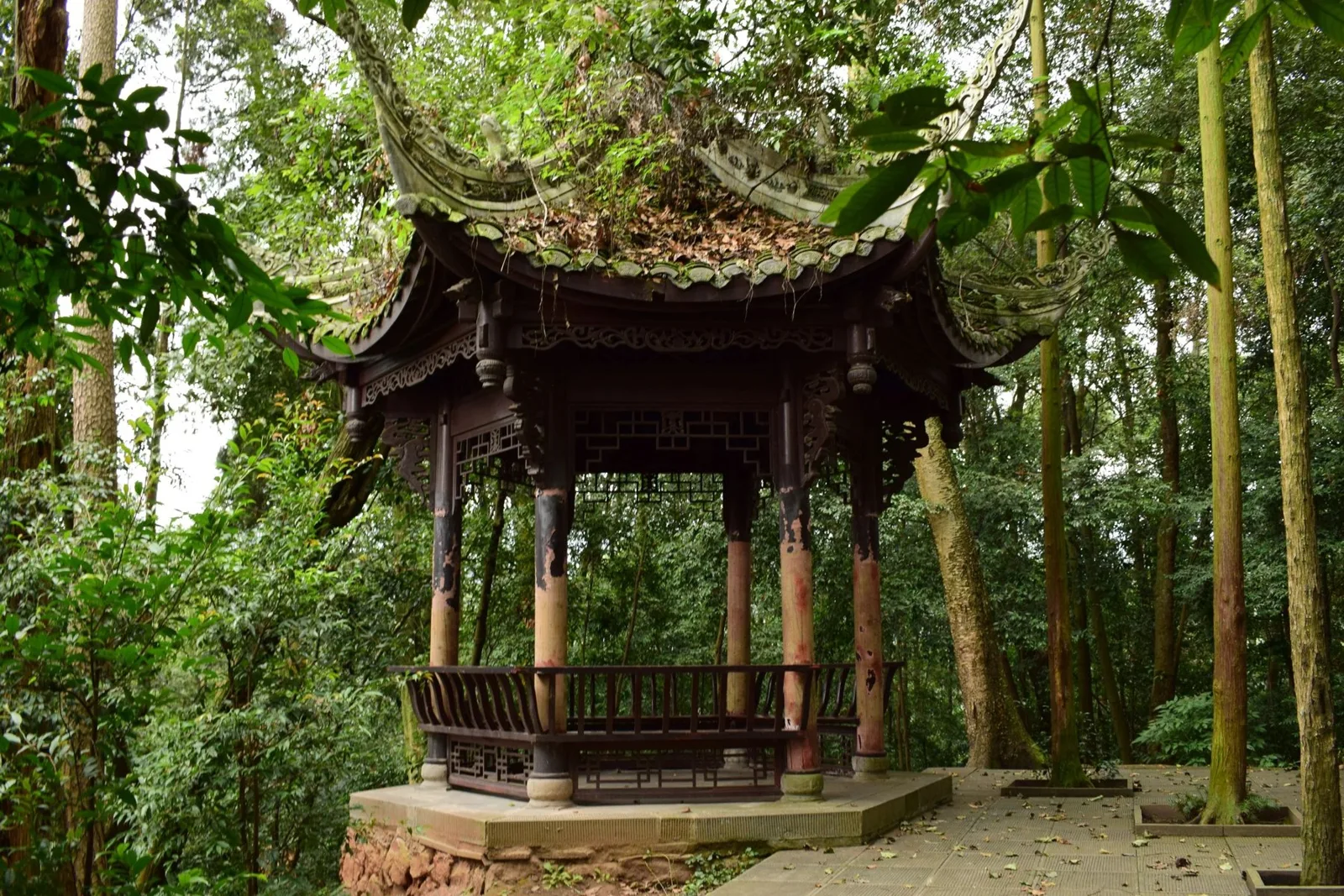 China Adventure Club travel experience