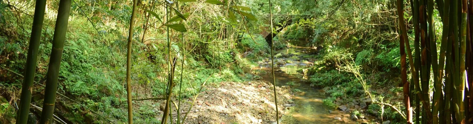 Panda Volunteer Work and Mountain Hiking near Chengdu
