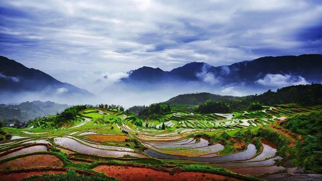 The Winding Yunhe Rice Terrace - "Hidden Diamond" Hidden in the Deep Mountains