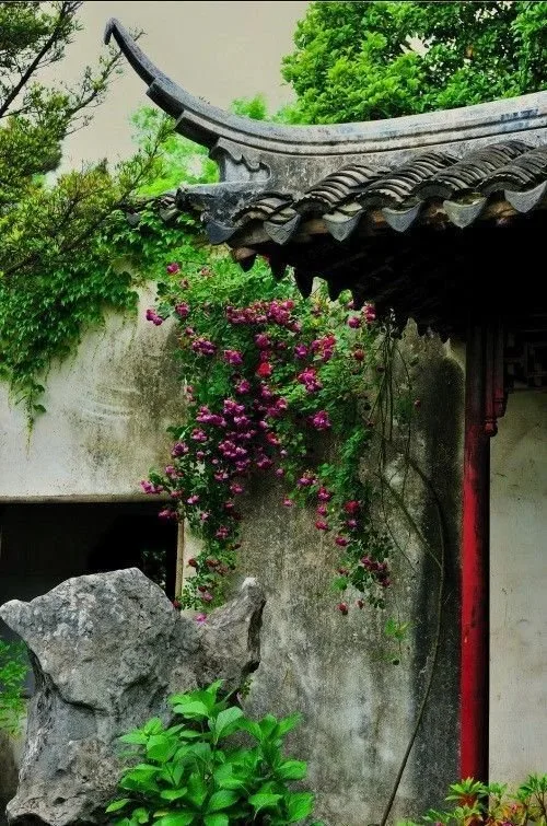 China Adventure Club travel experience