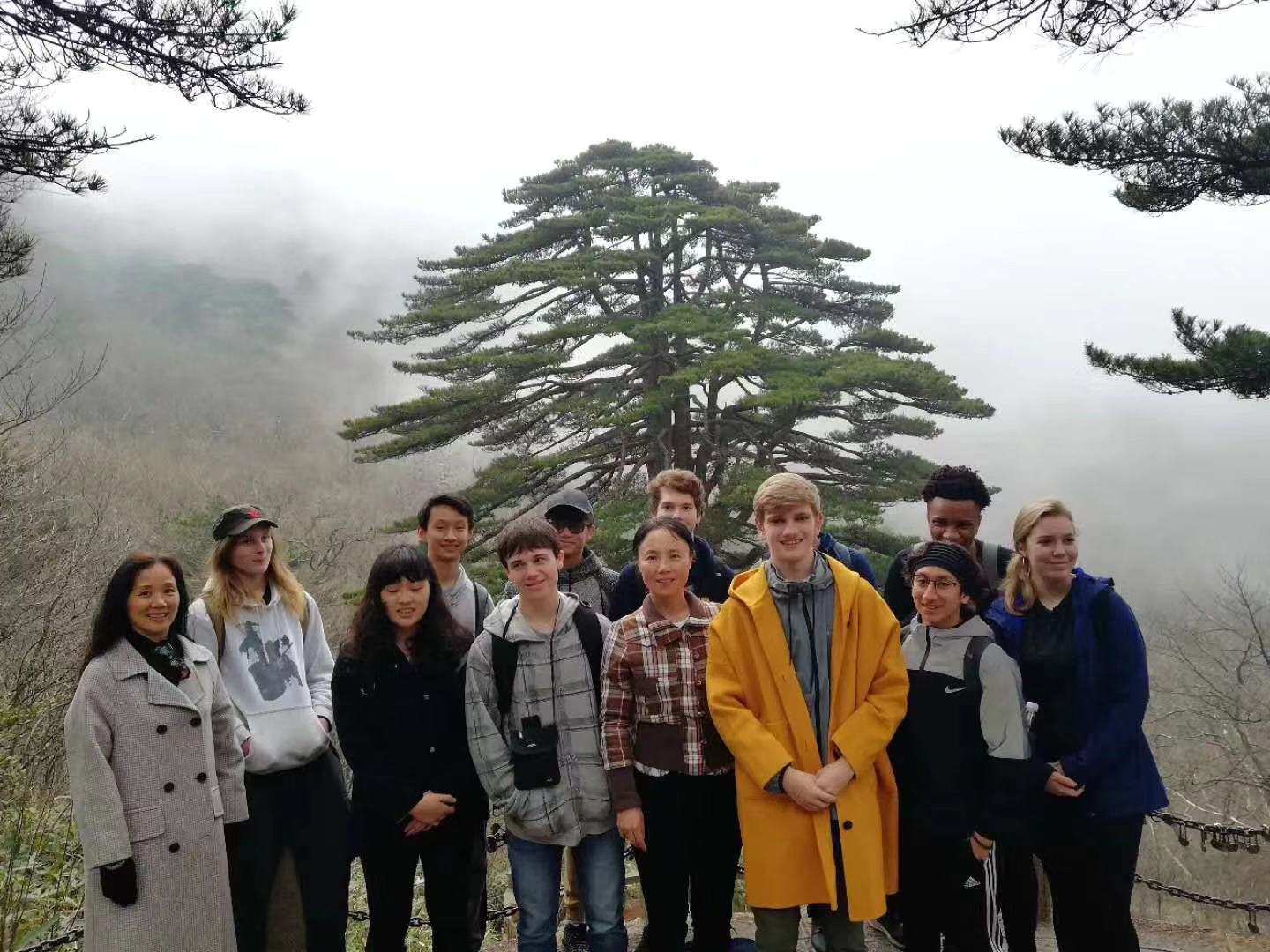 Traveler group posing beneath pine trees in misty mountains