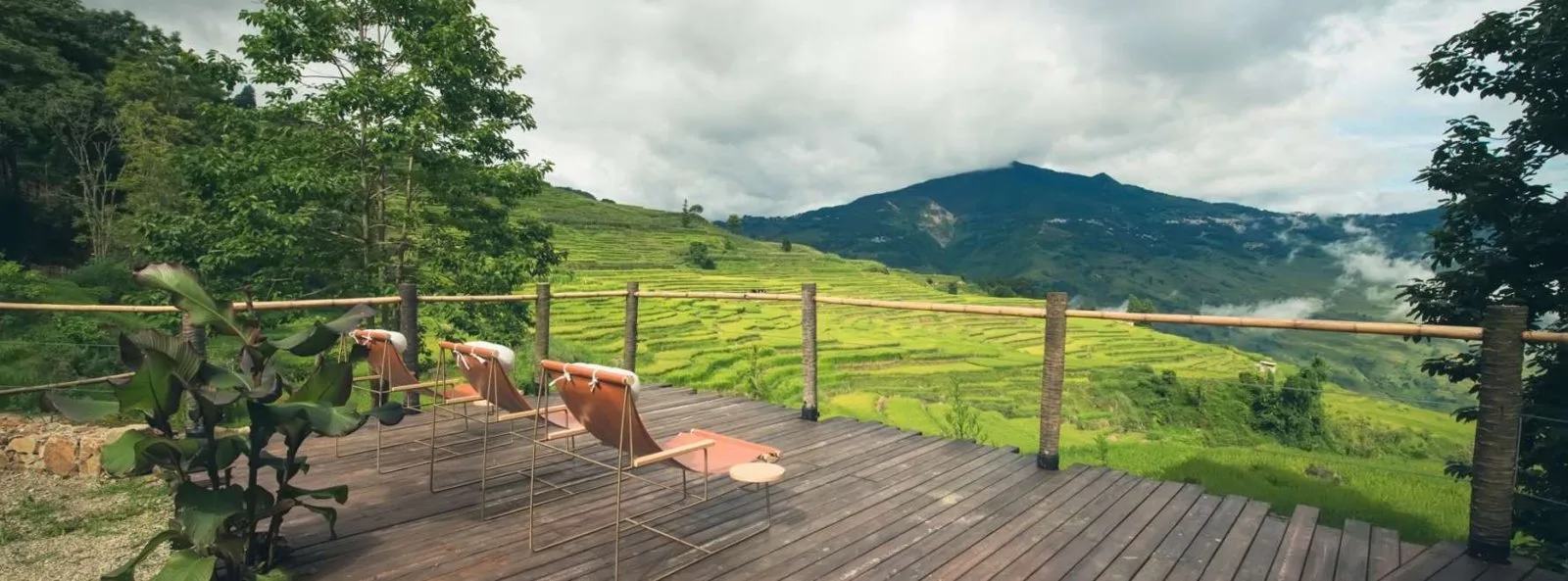 Vinetree Honghegu Tent Resort