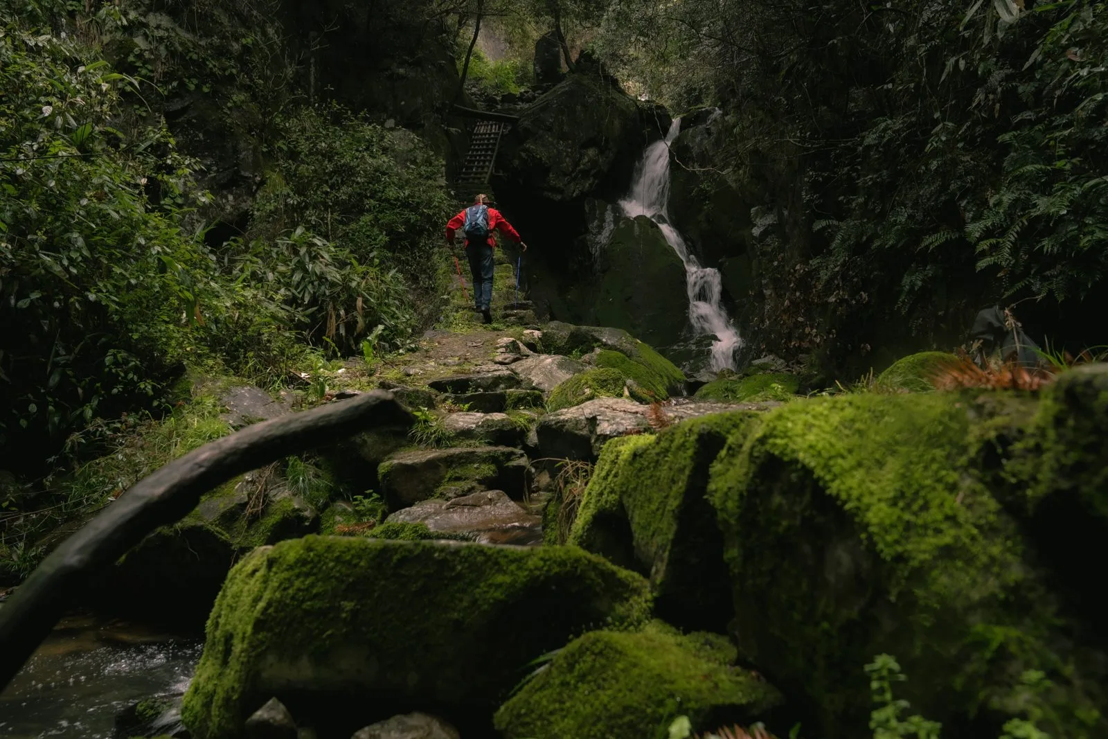 GUDAO Zhejiang: The Tea Village Trail