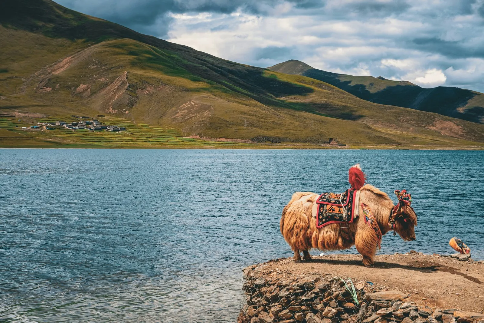 Chengdu & Tibet: Pandas, Peaks & Pilgrimages