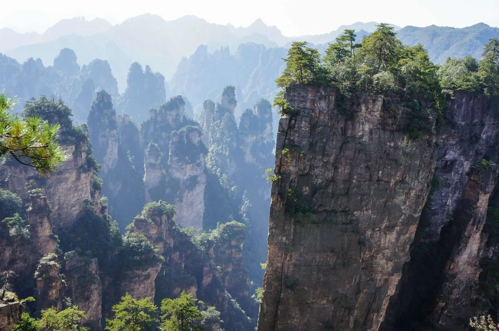 Zhangjiajie Avatar Mountains