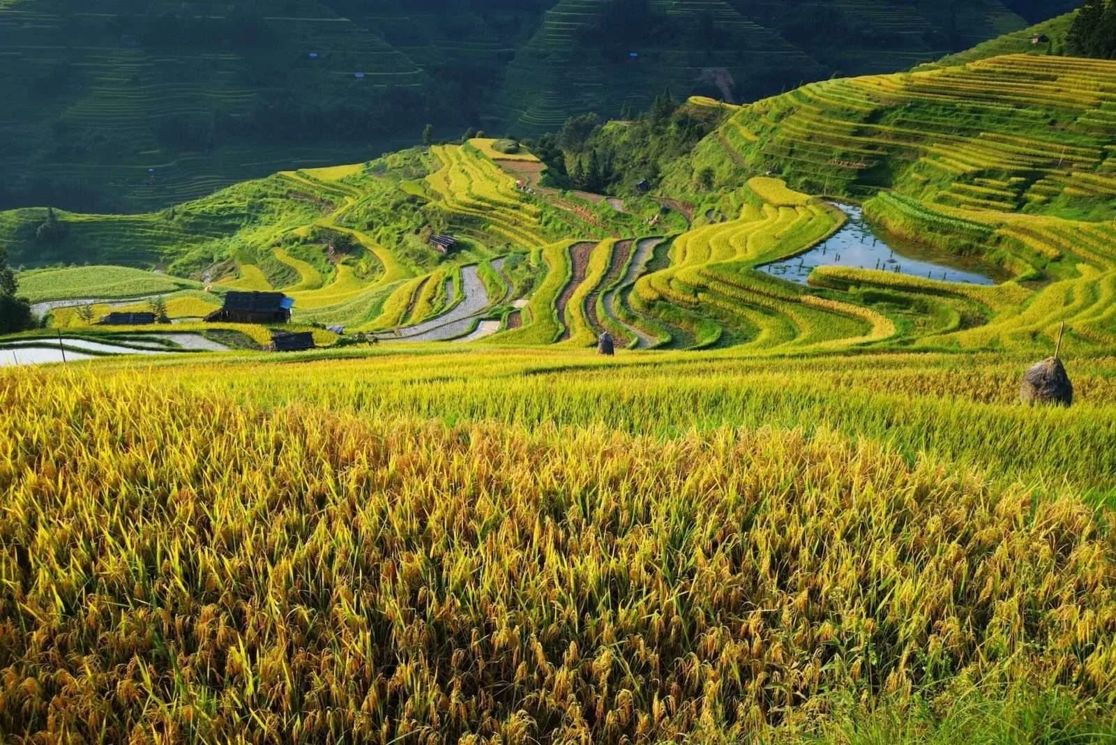 Inside Guizhou: A Discovery of Miao, Buyi, and Dong Traditions