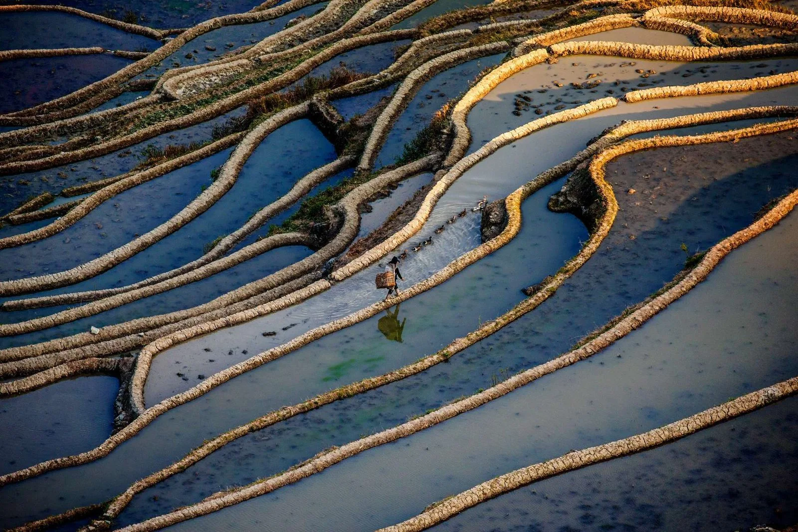 Yunnan: Yuanyang and Jianshui